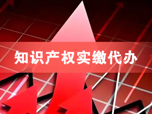 廉江知识产权实缴资本代办